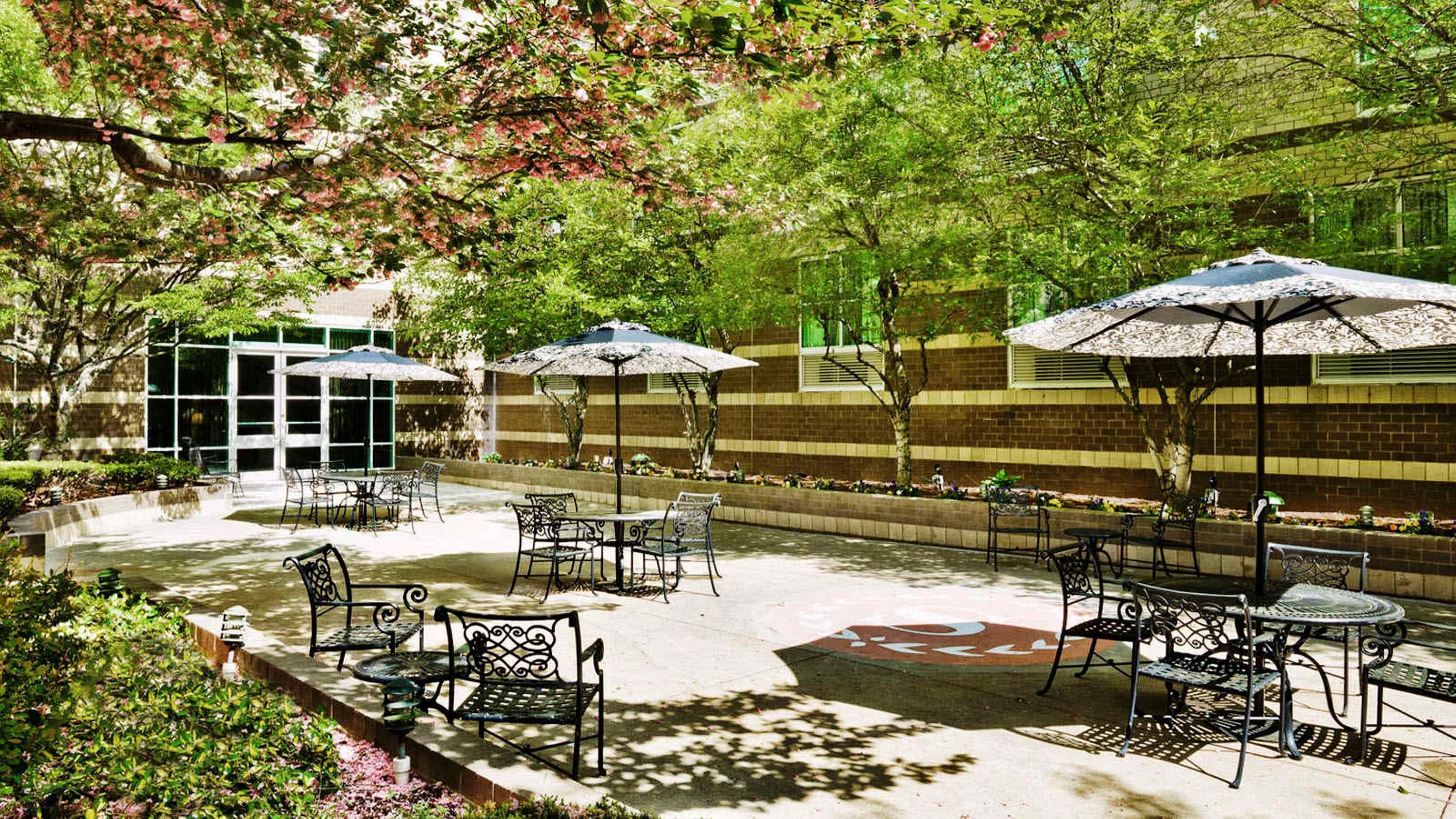 Sheraton Boston Hotel Needham